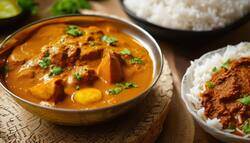 A curry meal-1